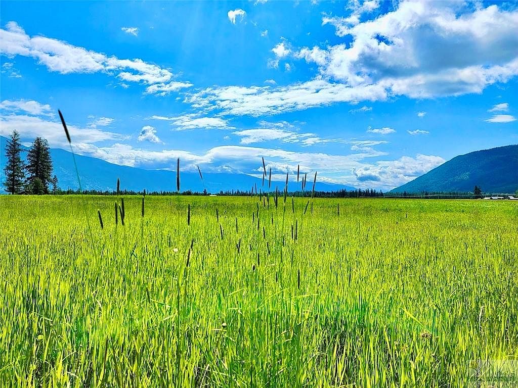 169 S Hill Rd, Trout Creek, MT 59874 MLS 331409 Zillow