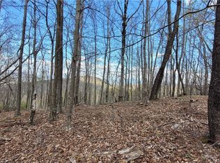 123/126 W Blueberry Ln, Banner Elk, NC 28604