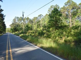 Levy A Ray Rd NE, Ludowici, GA 31316