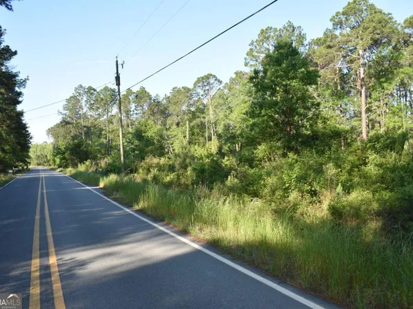 Levy A Ray Rd NE, Ludowici, GA 31316