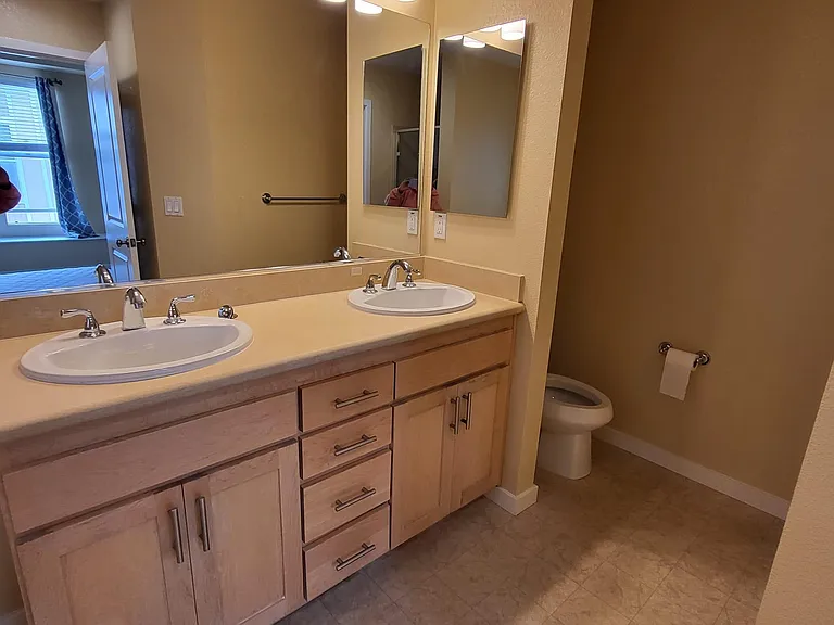 Master Bathroom with new faucets and new toilet seat