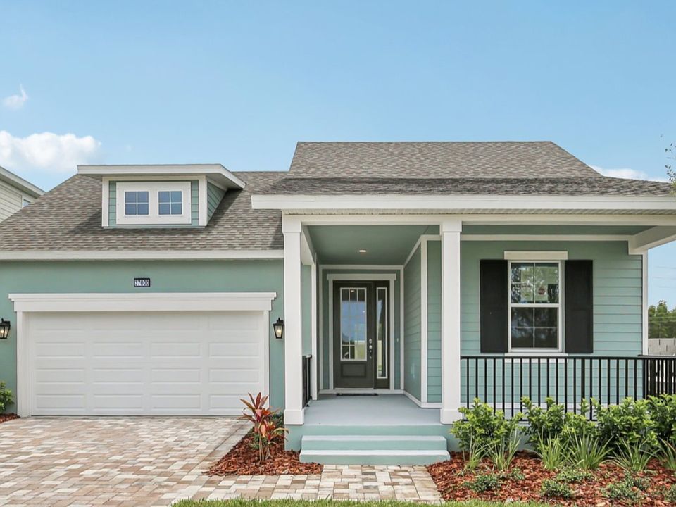 The Front Elevation of an Aster