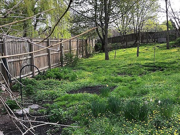 Wood fencing