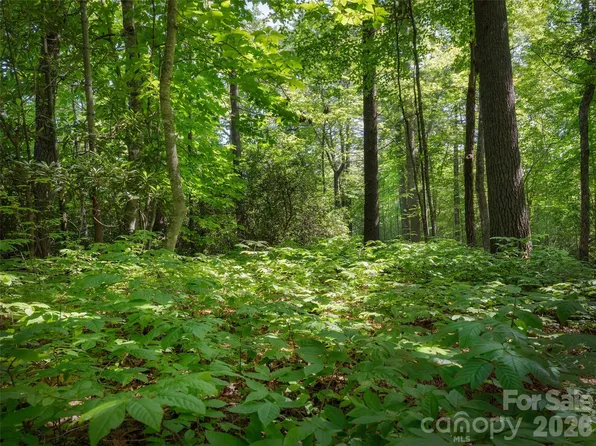161 Eagle Lake Dr, Brevard, NC 28712