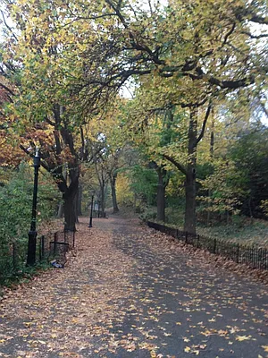 Rented by Immac Realty | media 29