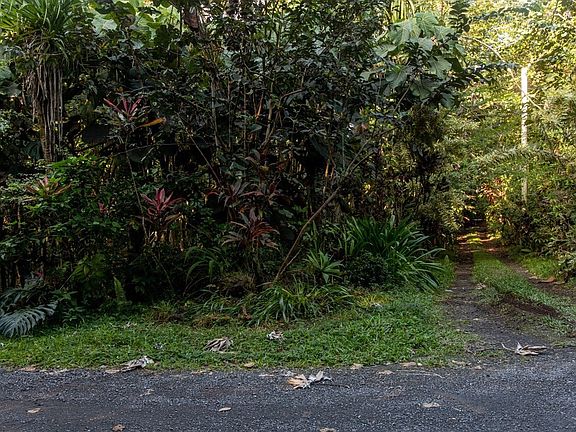 5th image of 6th Avenue Hialoa Lot 2198
