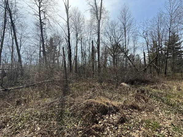 14 Birchwood Trl, Pine City, MN 55063