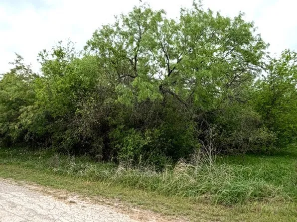 McAlister St, Mingus, TX 76463