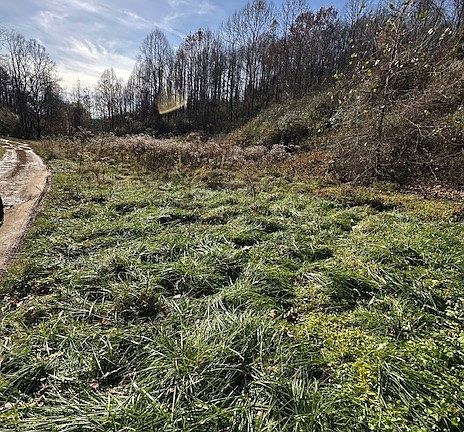 3rd image of 213 Plantation Rd