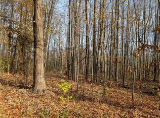 LOT 10 Wayne Rd, Mantua, OH 44255