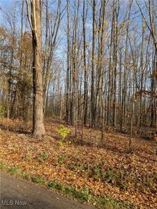 LOT 10 Wayne Rd, Mantua, OH, 44255