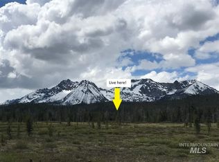 4 Stanley Basin, Stanley, ID 83278