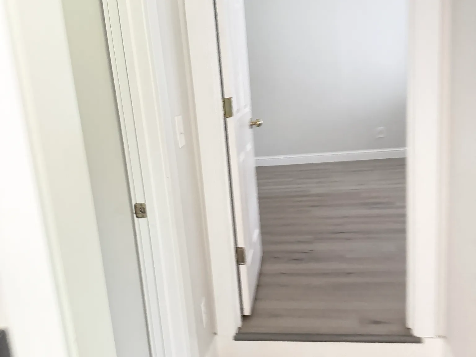 1 bed, 1500 sqft, $1,800 — Photo 3