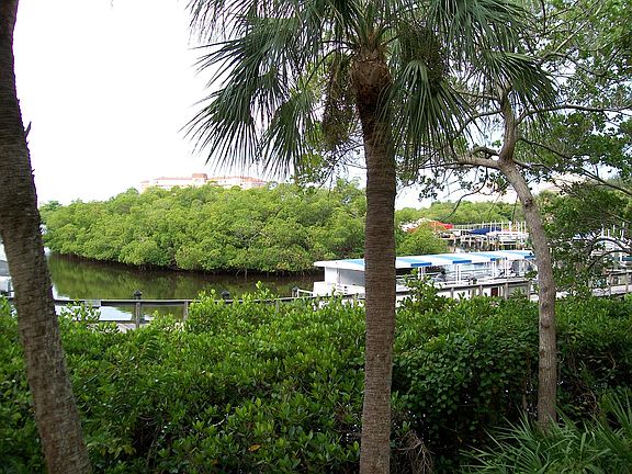 Boat Shuttle to Beach