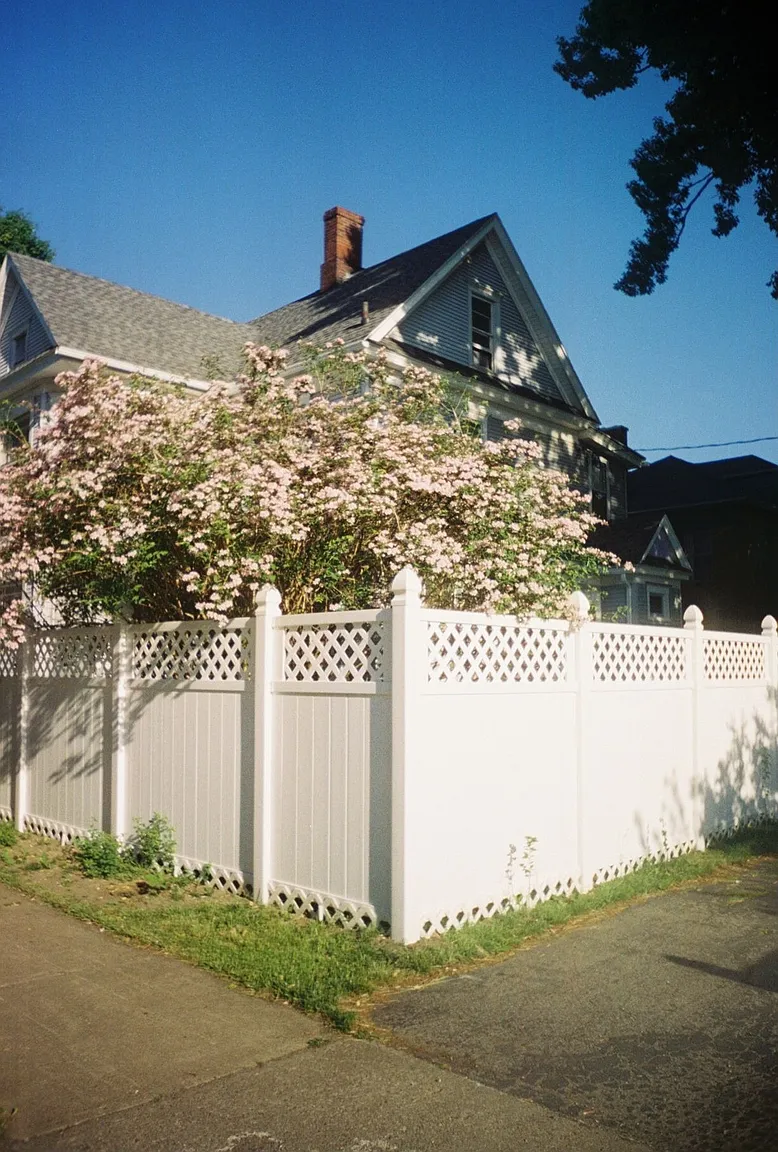41 Elm St photo 1