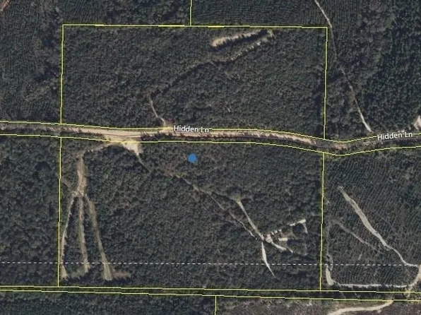 0 Hidden Ln, Morris, GA 39867