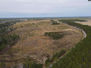 TRACT 4 Park Rd, Cassatt, SC 29032