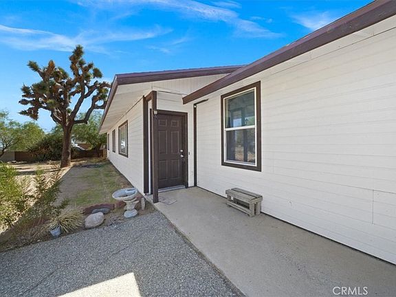 2nd image of 58407 Campanula St