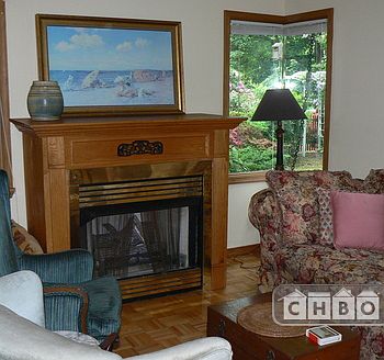 living room has cathedral ceiling, fireplace, designer corne