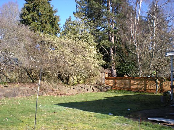 Large back yard