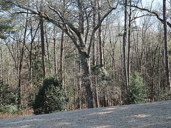 View of Stone Mountain 
