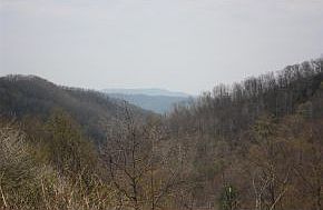 1st image of 220 Cold Springs Trl