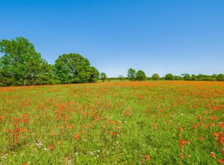 LOT 44 Paradise Cv, Streetman, TX