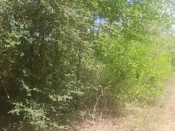 LOT 5 Tupelo Ln, Plantersville, TX 77363