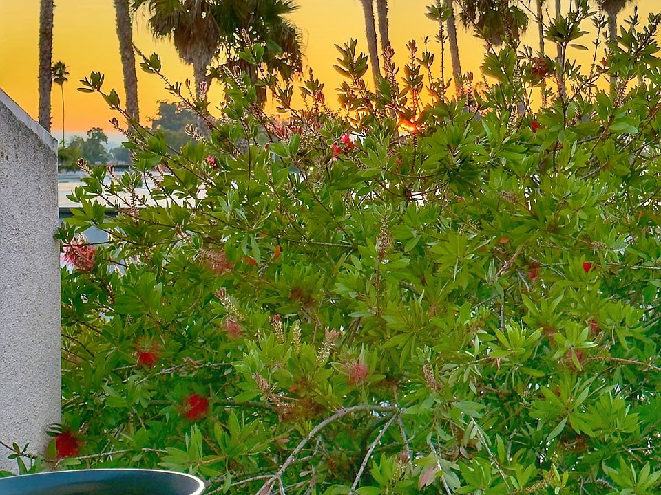 Facing west, enjoy beautiful treetop and distant sunset views.
