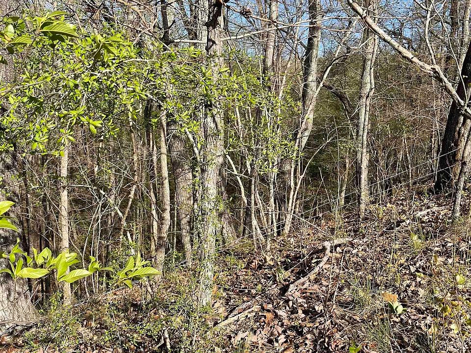 2nd image of Spunky Hollow Rd #1