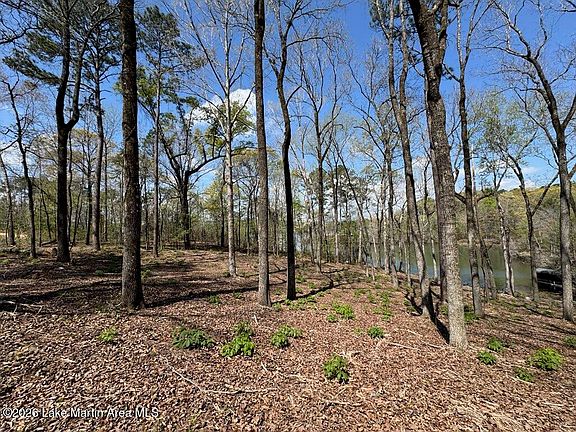 4th image of LOT-25A Lakeview Dr