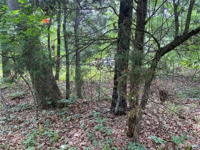 0 Tom Hickman Ln, Malakoff, TX, 75148