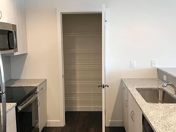 Pantry closet in kitchen