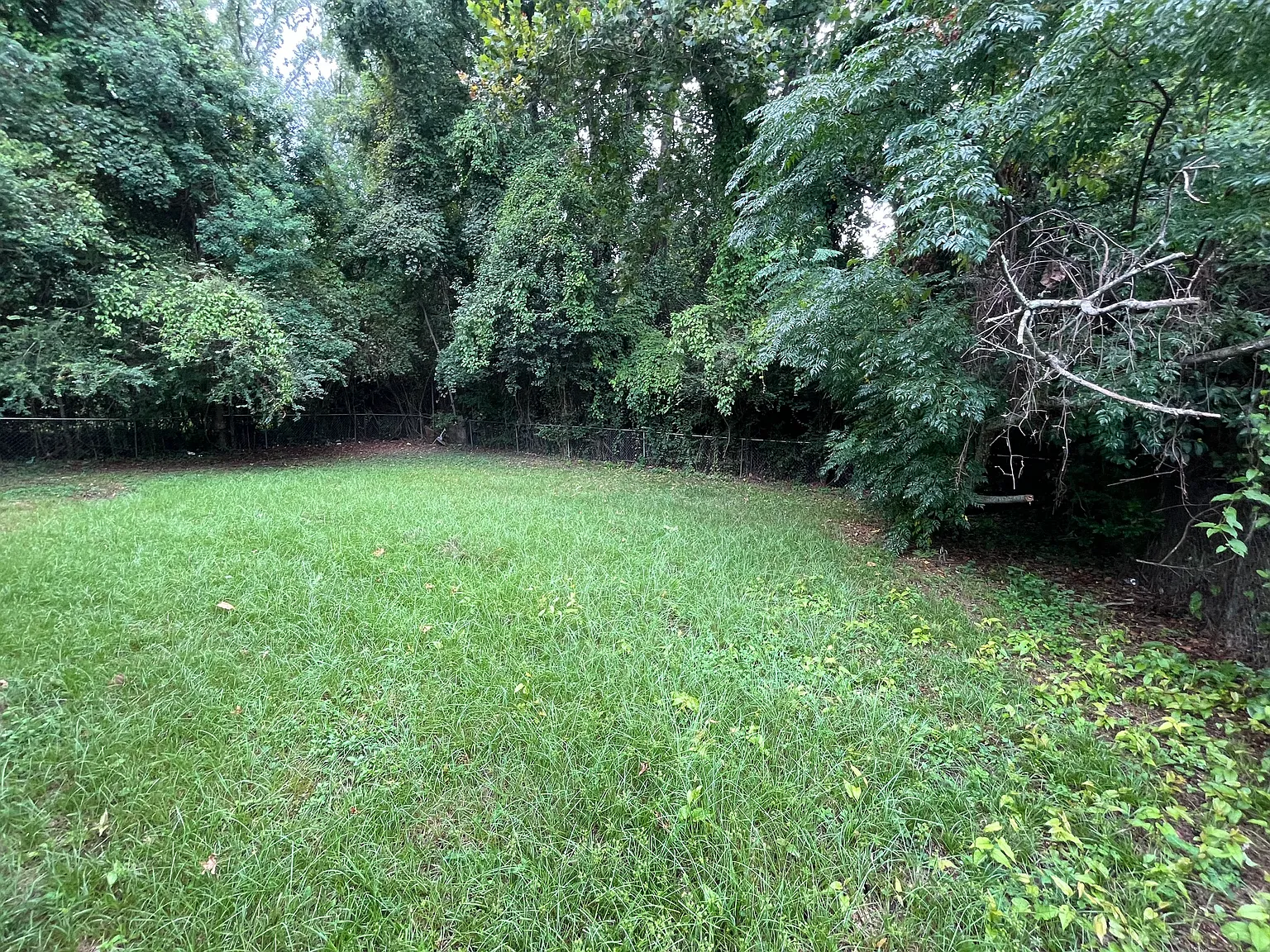 3 bed, 900 sqft, $1,425 — Photo 3