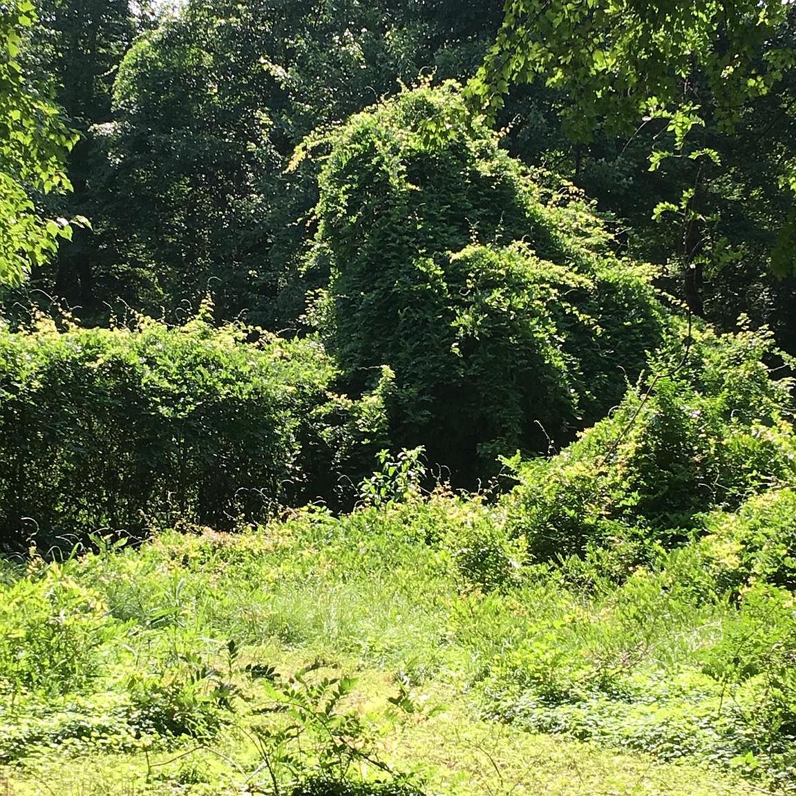 17629 Piney Point Rd, Tall Timbers, MD 20690 Zillow