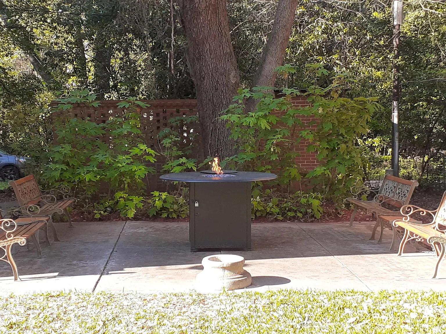 233 Corbin Avenue — Photo 4