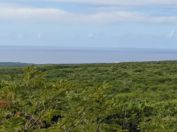 94-6379 Puka St #12, Naalehu, HI 96772