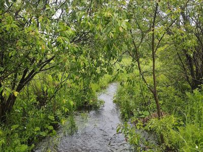 12927 Orcutt Hwy, Millersburg, MI, 49759