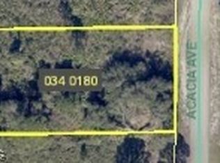 1411 Acacia Ave, Lehigh Acres, FL 33972