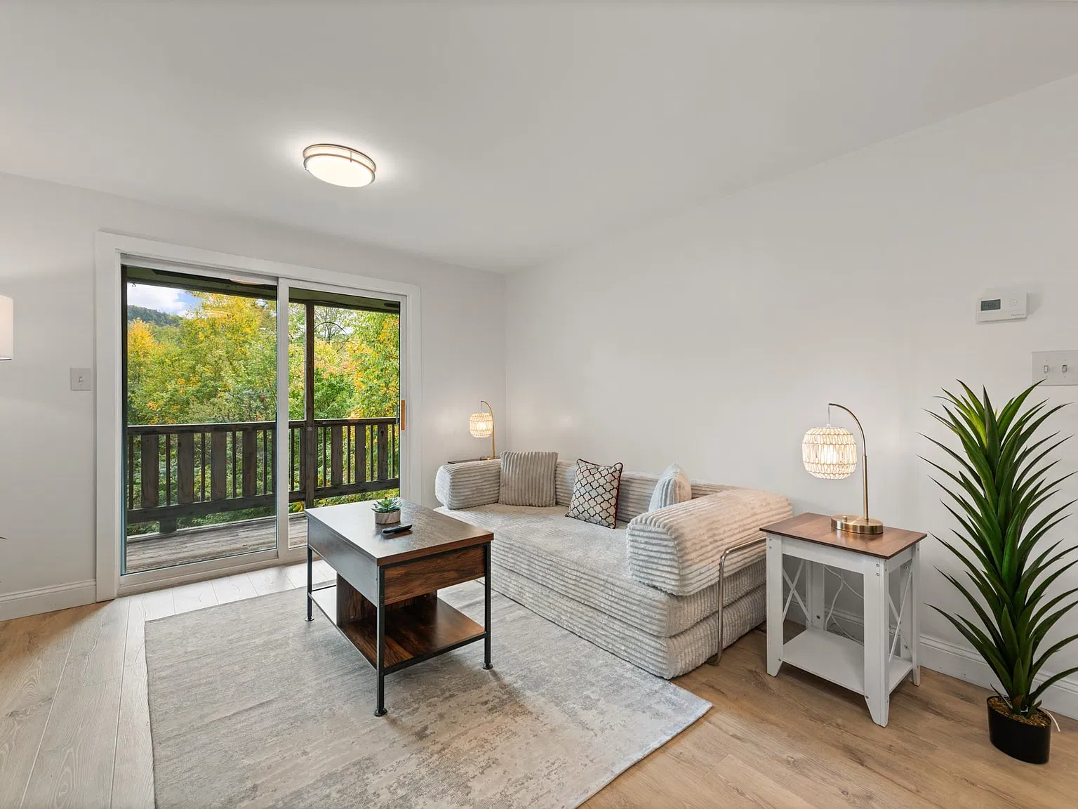 2 bed, 1.0 bath, 780 sqft, $12,000 — Photo 3