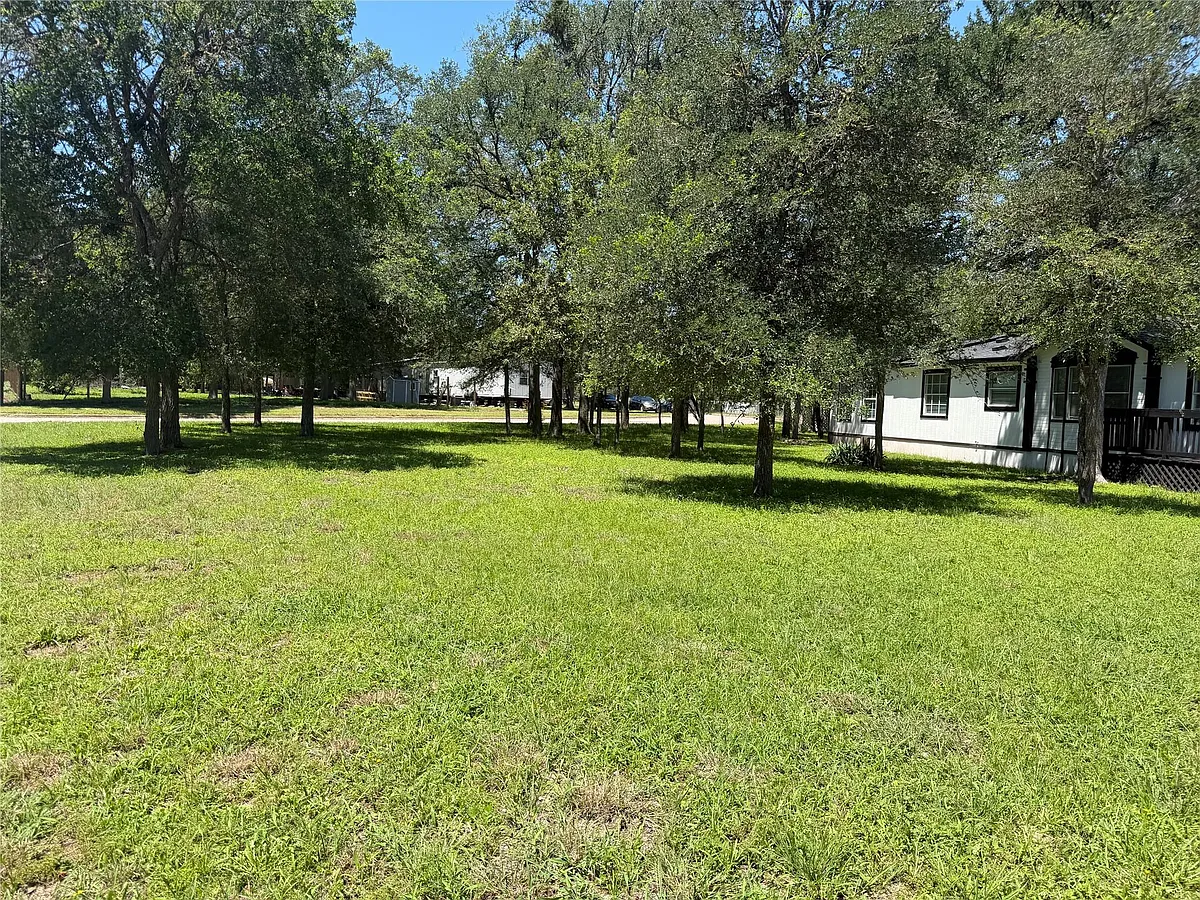 Building Photo - 236 Live Oak Dr