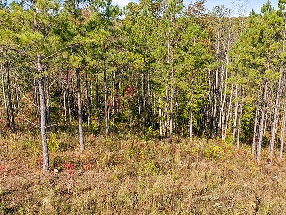 5th image of LOT 334 Twisted Oak Rd