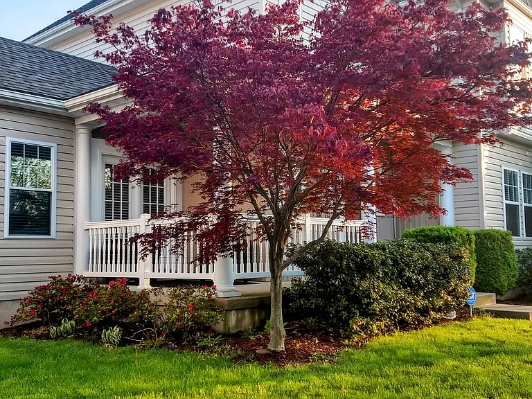 578 Misty Mountain Dr — Photo 3