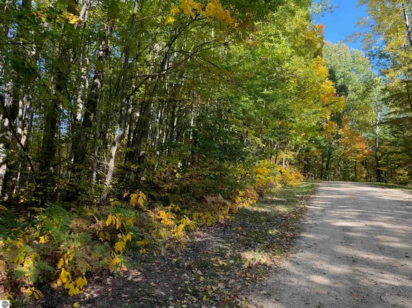 Ticino Dr, Reed City, MI 49677