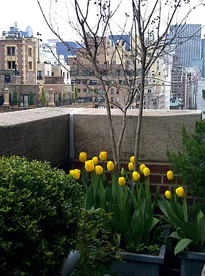 Rented by Maria Buncick Fine Properties, LLC | media 30