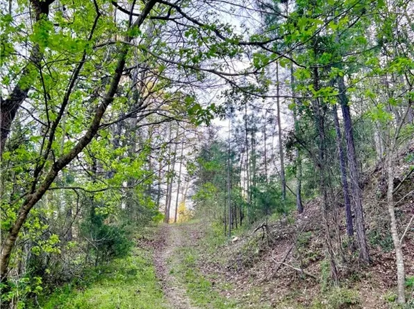 925-00041-000 Breezy Point Rd #13-17, Eureka Springs, AR 72632