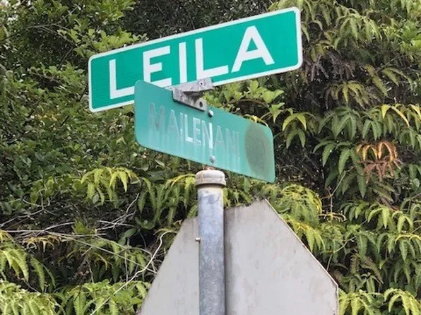Mailenani Rd Lot 17, Volcano, HI 96785