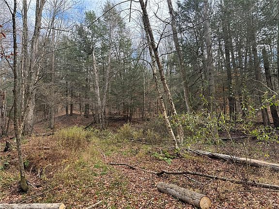 3rd image of Barnes Hill Rd Lot 12