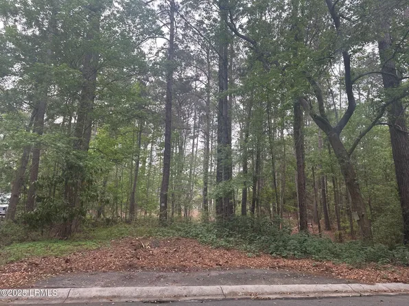 9 Turtle Ln, Beaufort, SC 29907