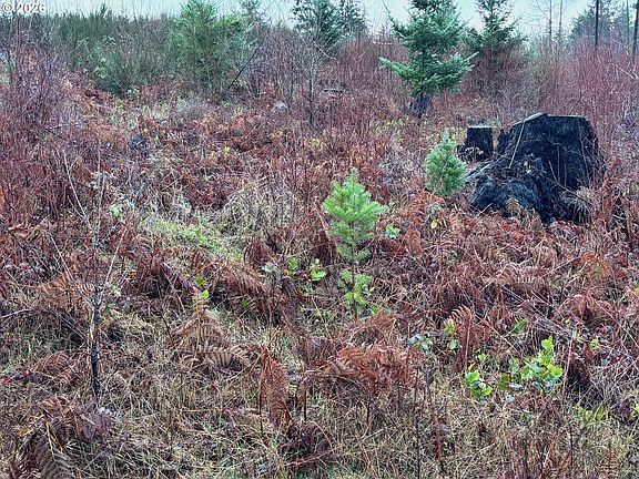 3rd image of 0 S Shibley Rd